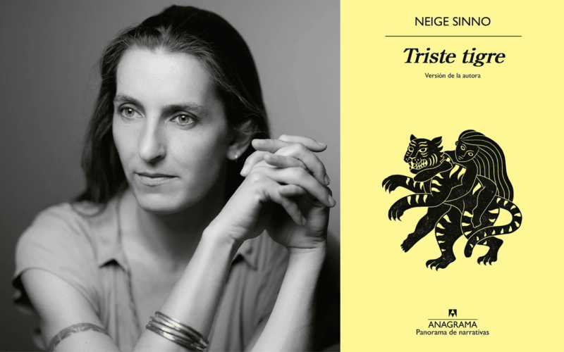 Triste Tigre de Neige Binno